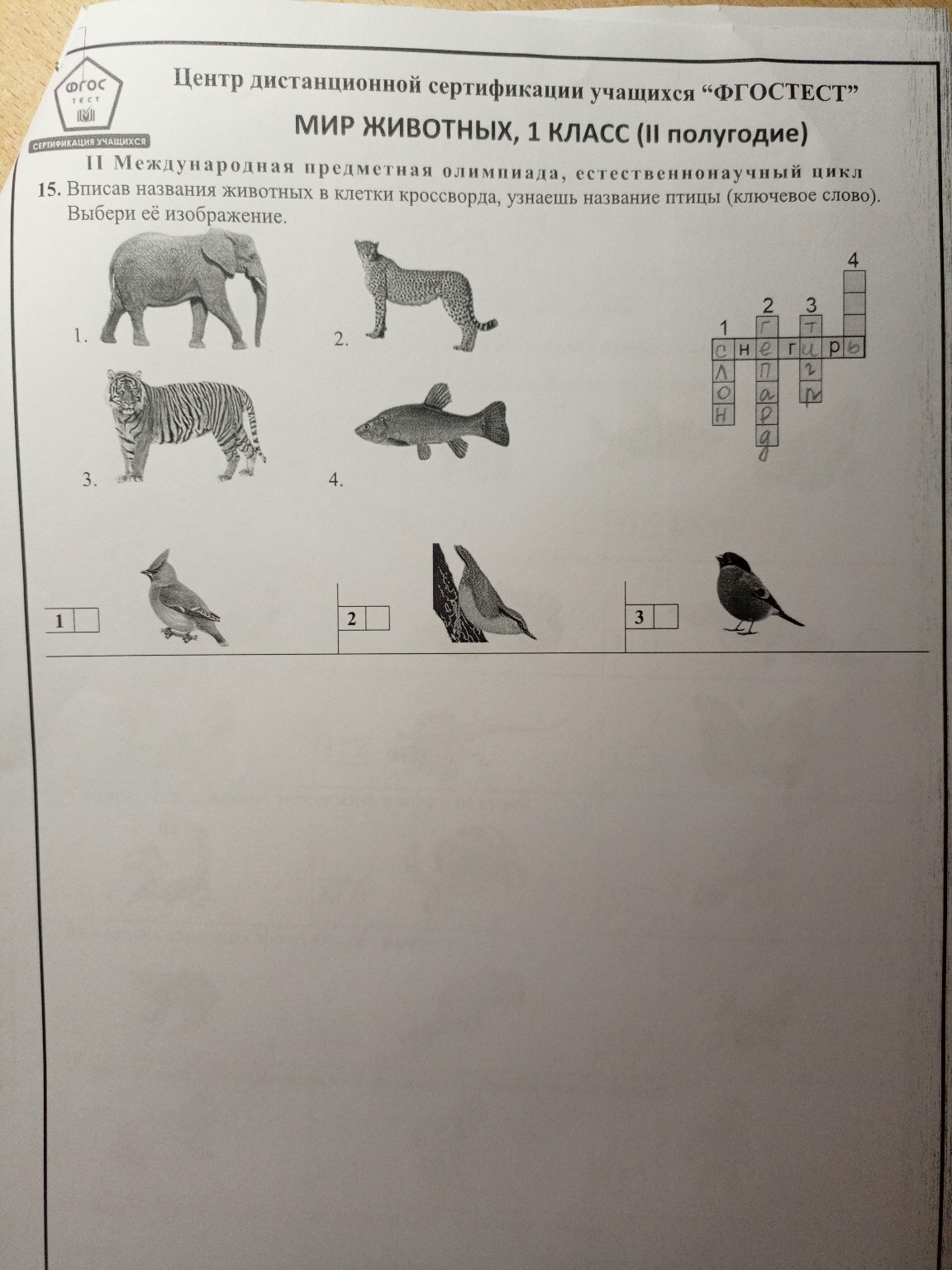 Изображение задачи: