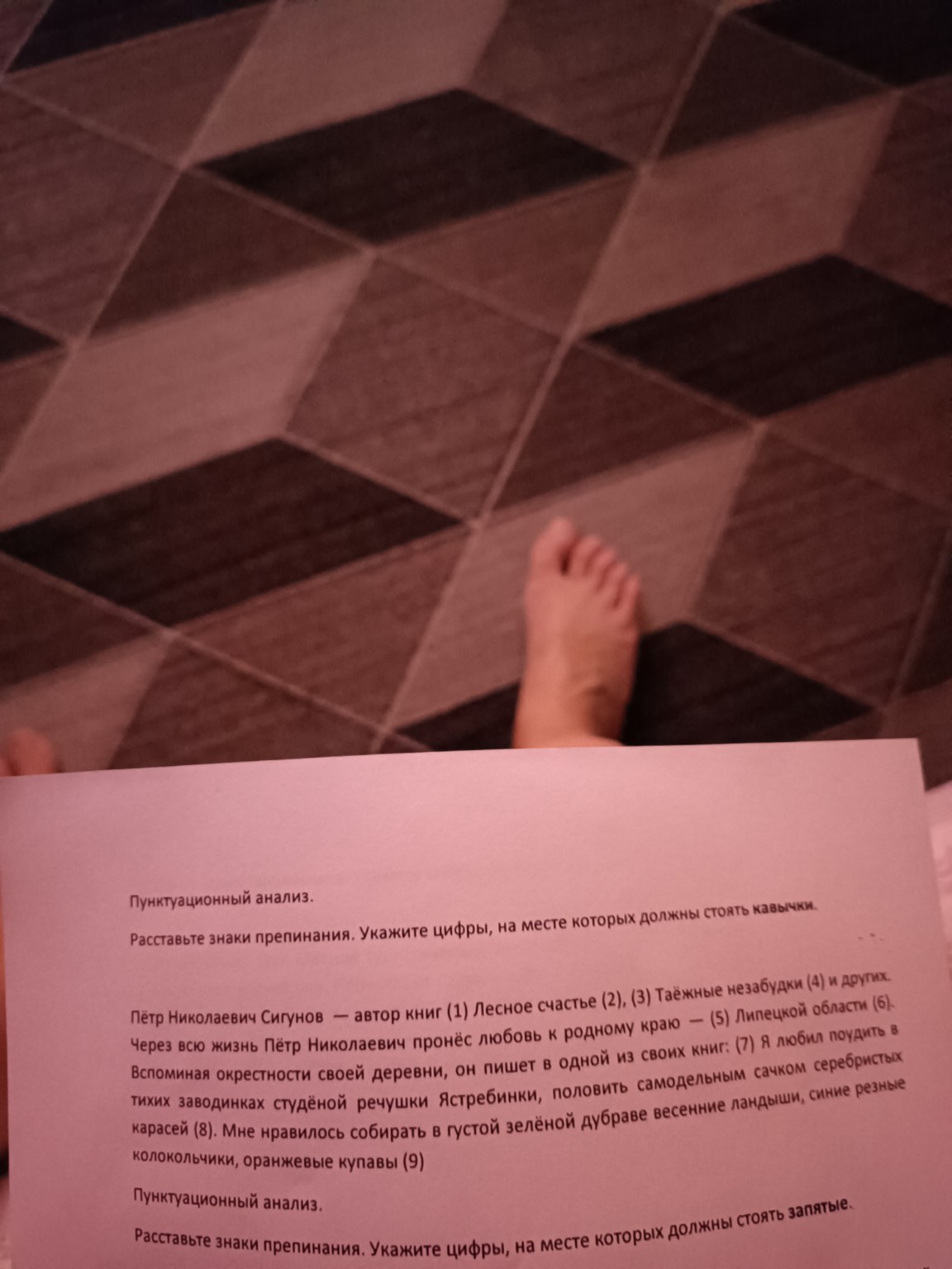 Изображение задачи: 