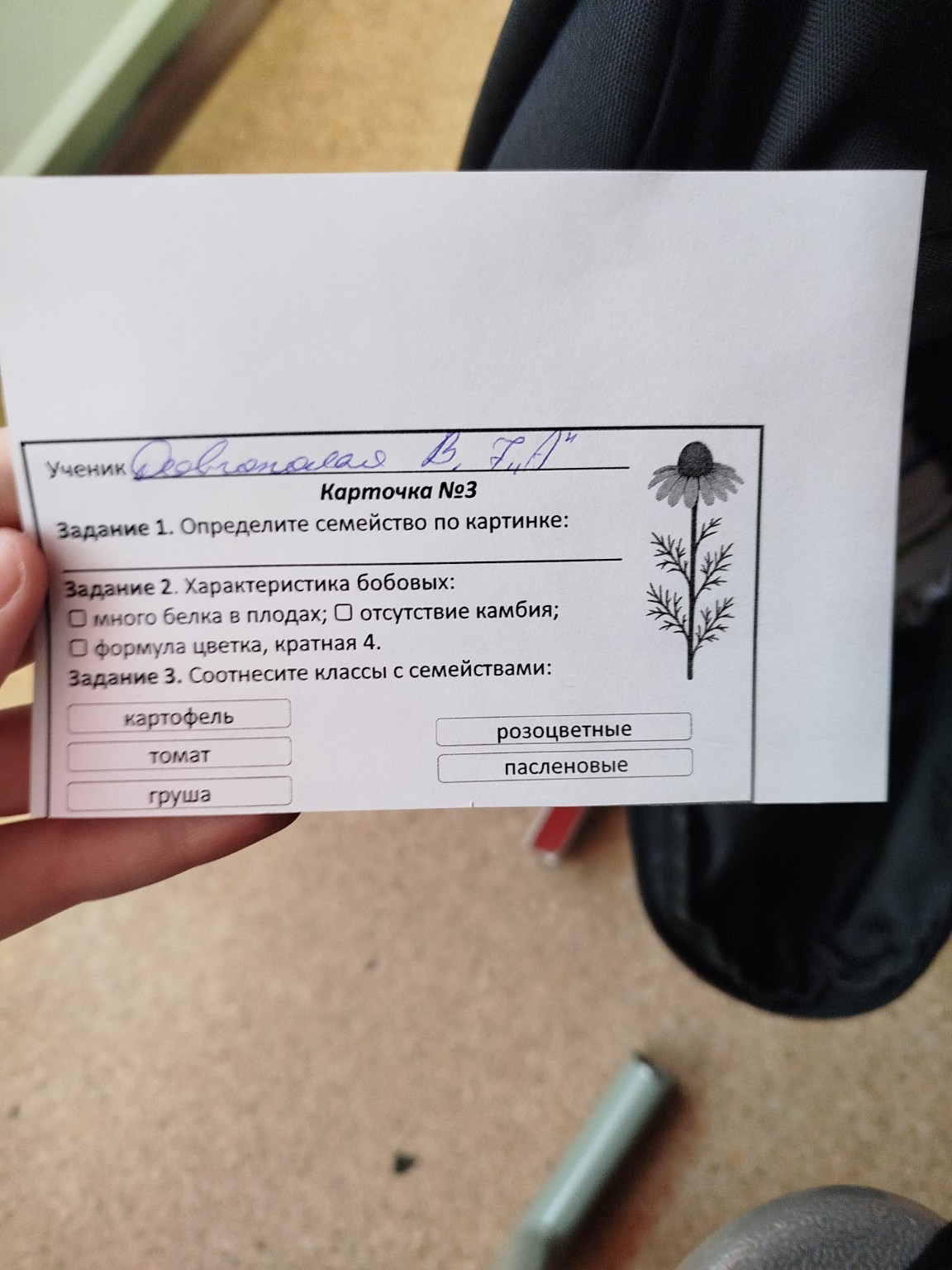 Изображение задачи: 