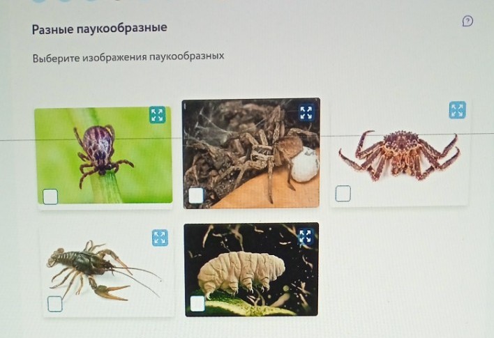 Изображение задачи: Решить с первой по третью фотографию. Реши задачу: