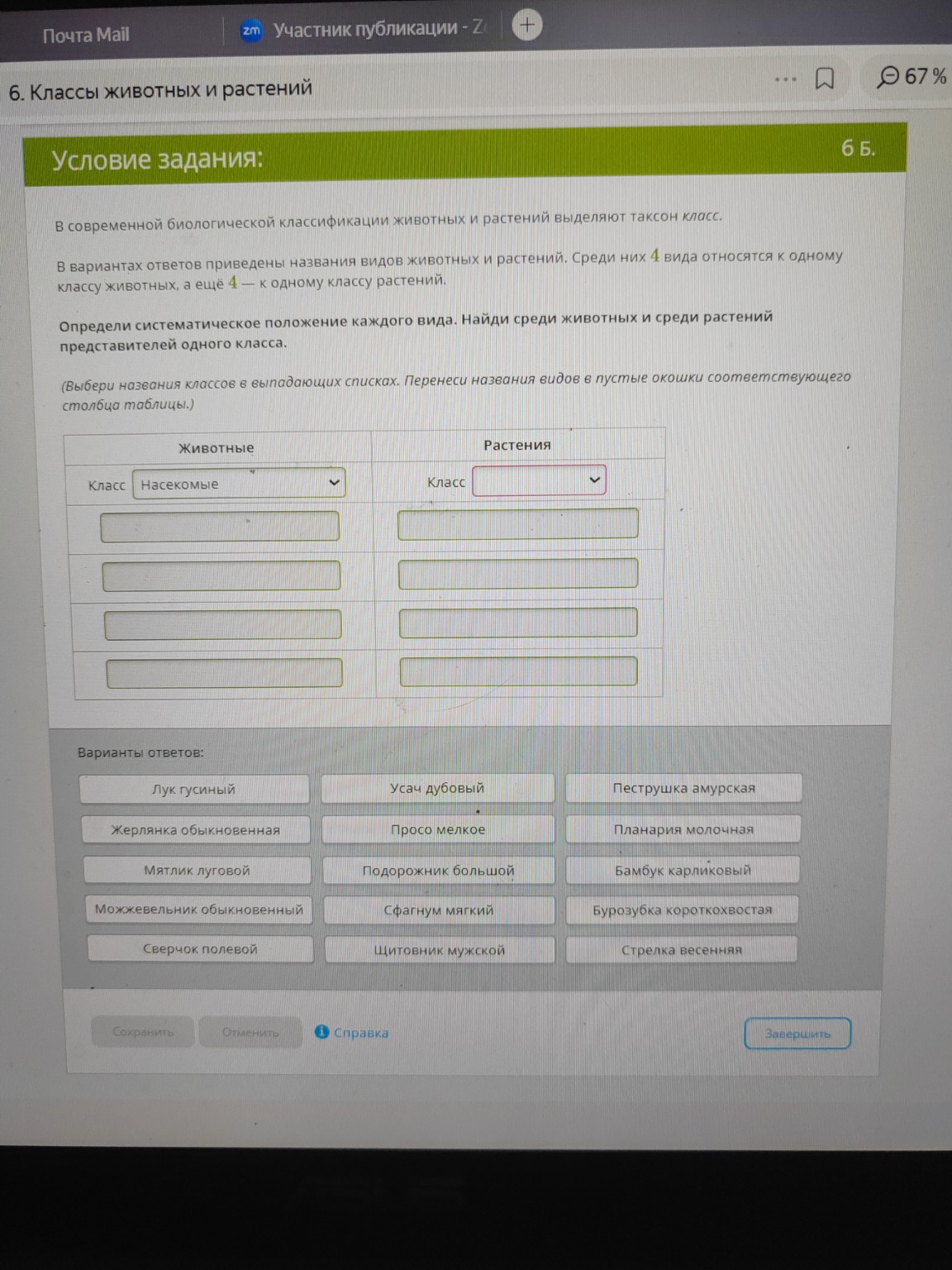 Изображение задачи: 