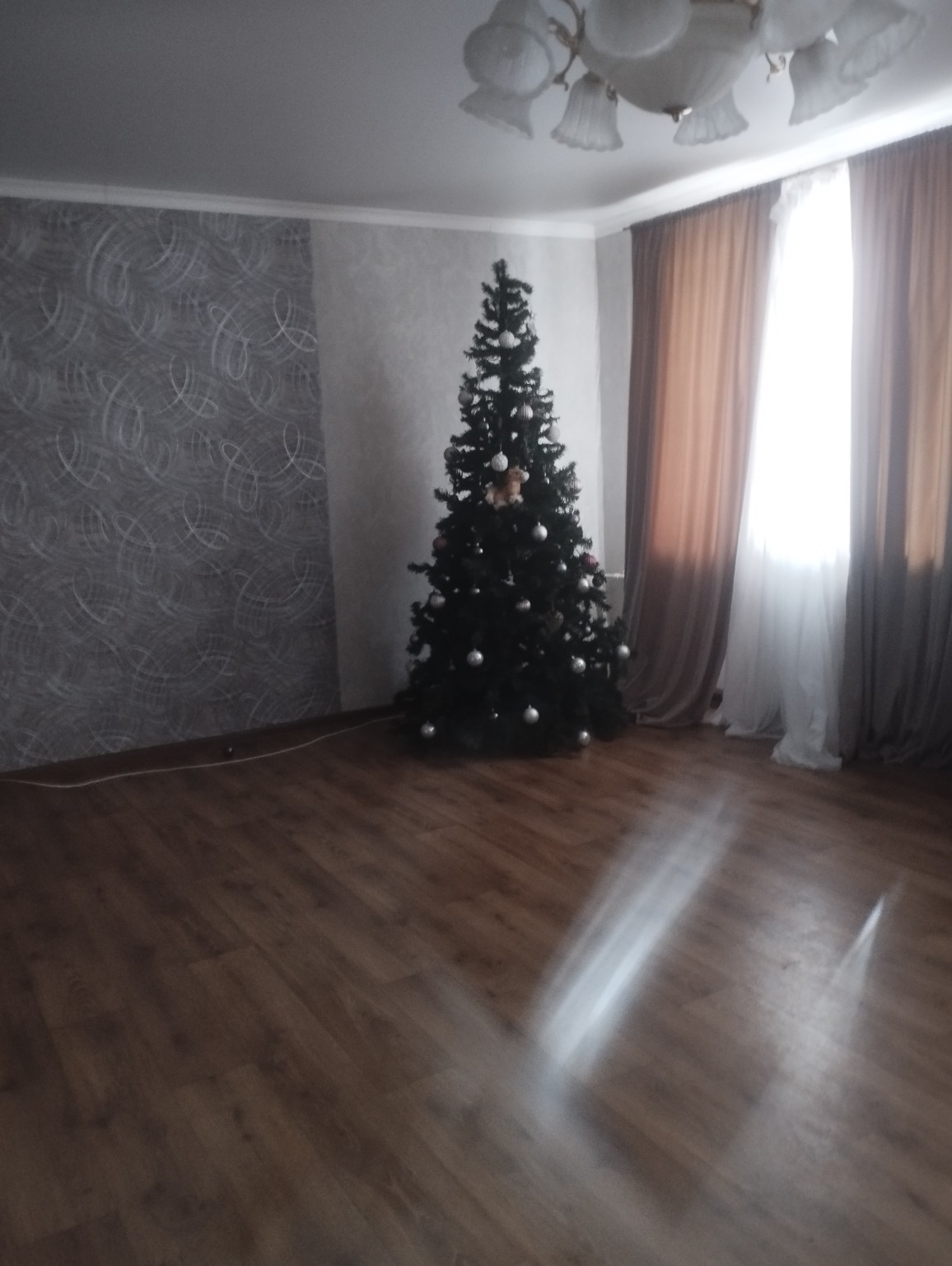 Изображение задачи: Реши задачу: добавь живую лошадь с бантом на шее к