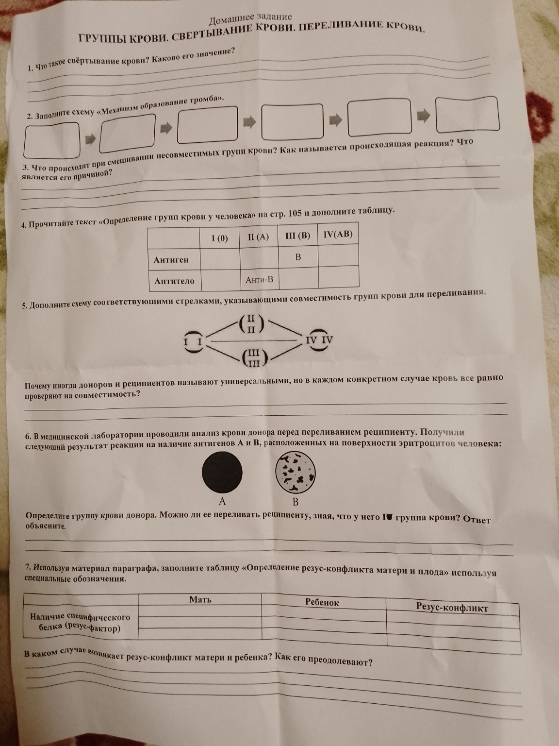 Изображение задачи: Выполнить все задания