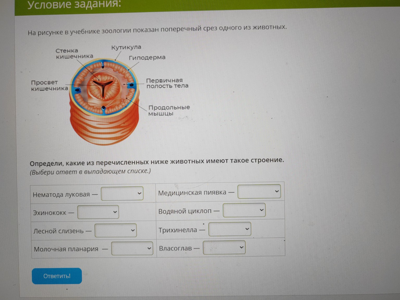 Изображение задачи: 