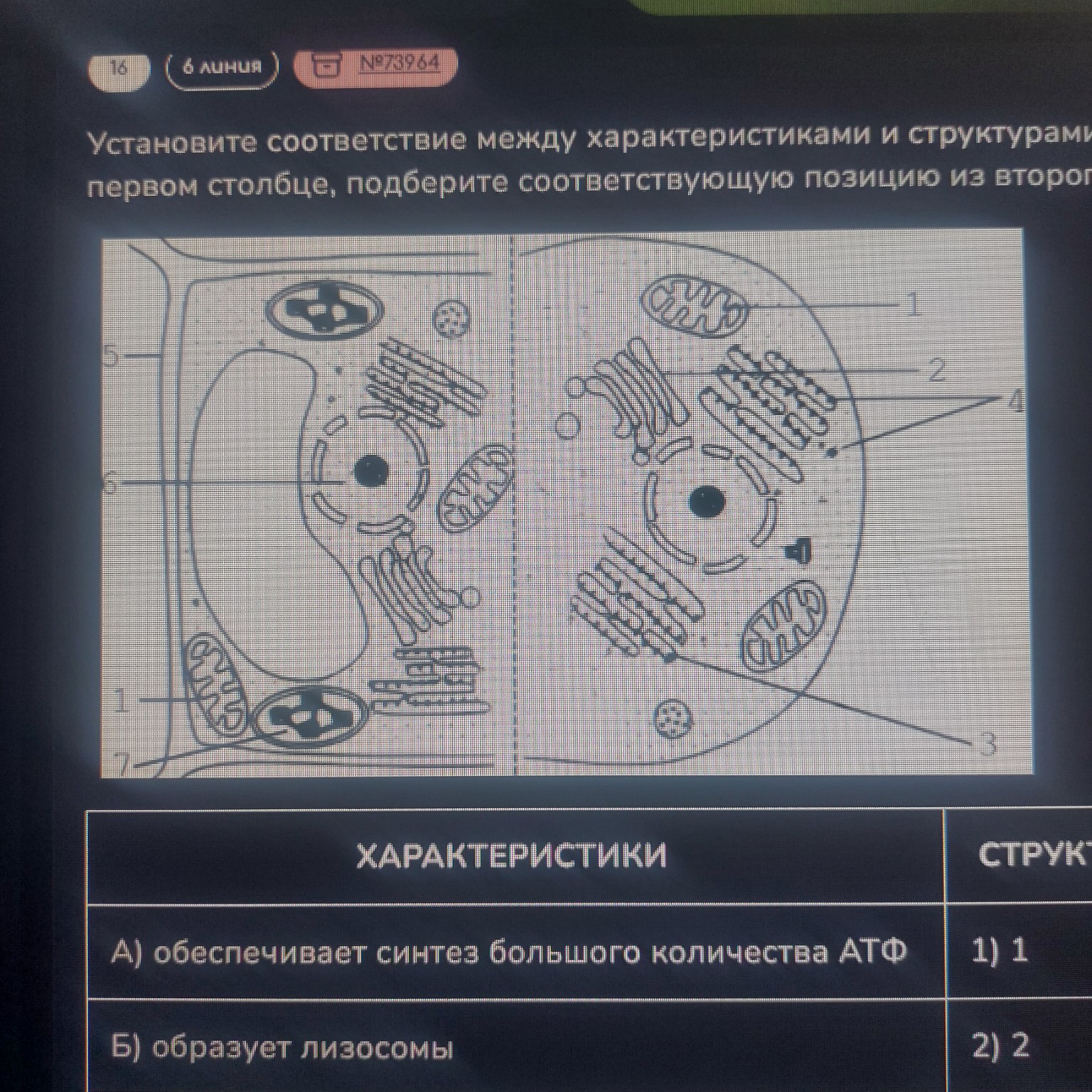 Изображение задачи: Что под номером 7