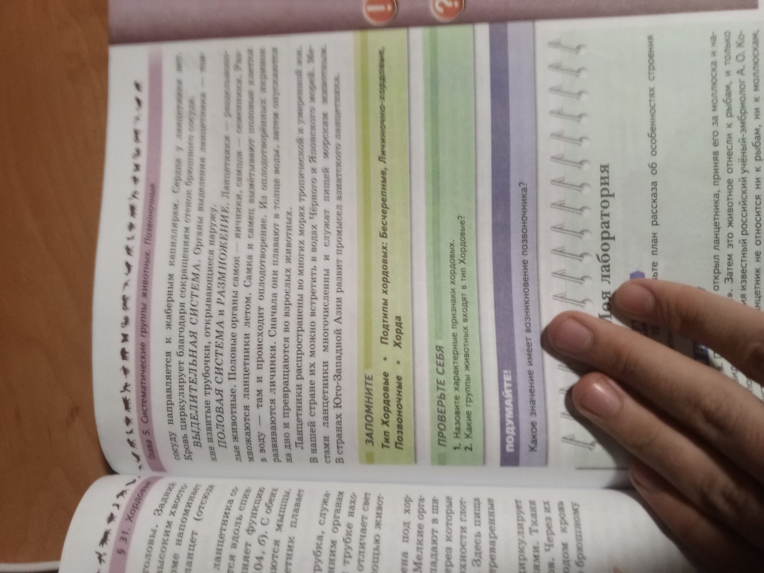 Изображение задачи: Сделай опорный конспект Реши задачу: А теперь сдел