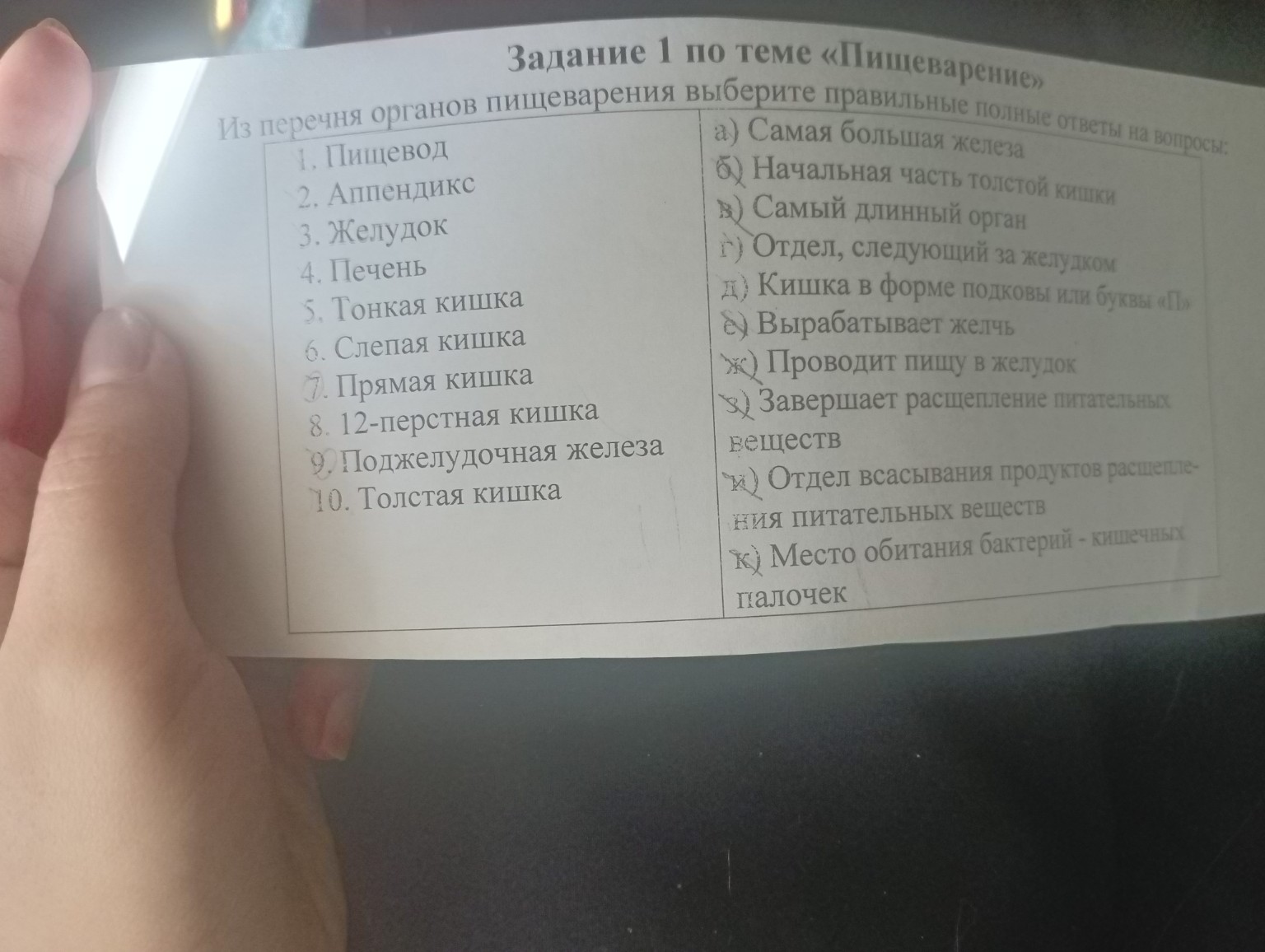 Изображение задачи: Реши, исключив прямую кишку и поджелудочную железу