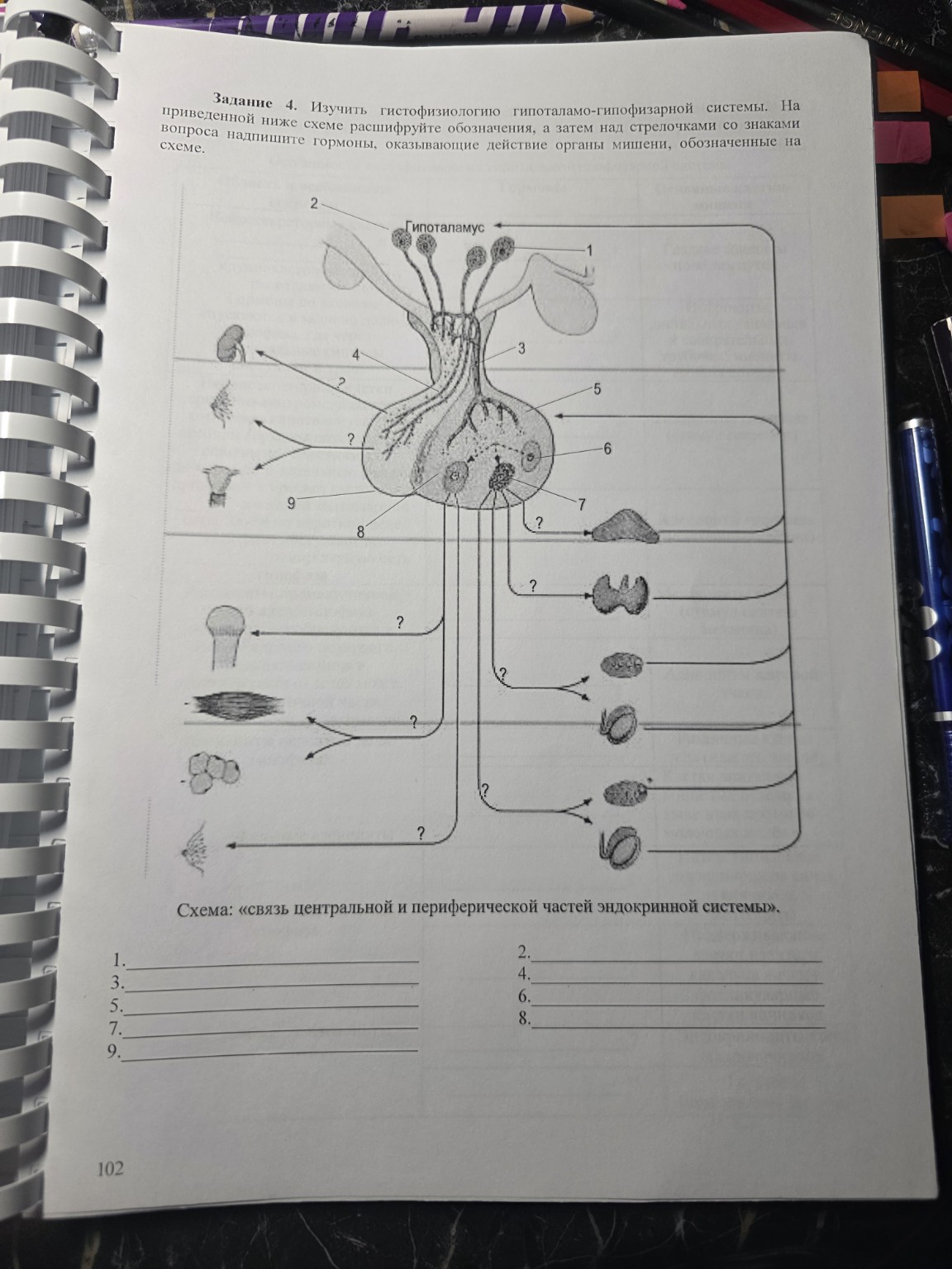 Изображение задачи: Блин где ответ
