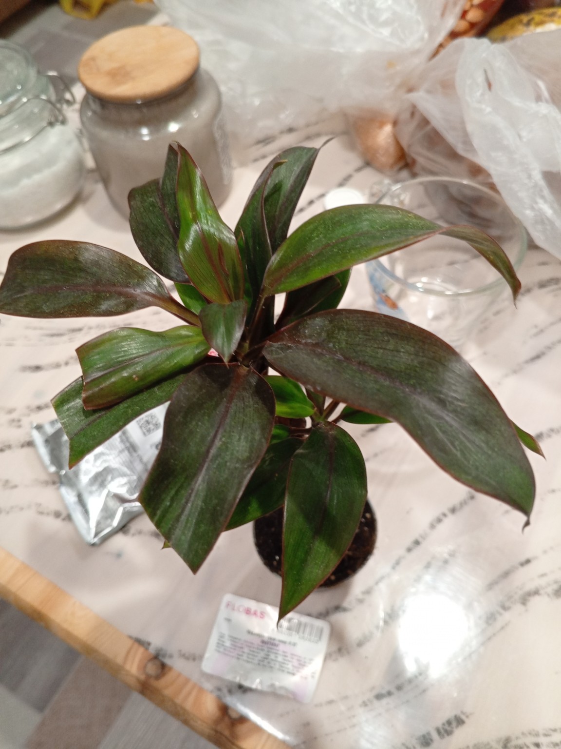 Изображение задачи: то это за цветок