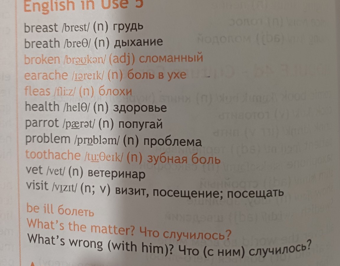 Изображение задачи: Реши задачу: Составить диалог на английском с пере
