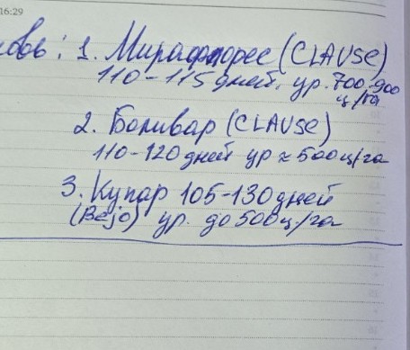 Изображение задачи: Дай подробное описание сортов моркови на фото Реши