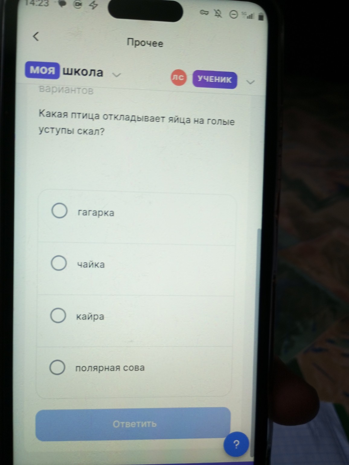 Изображение задачи: 