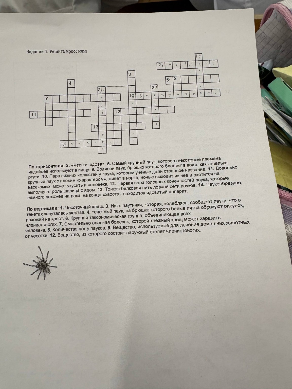 Изображение задачи: 