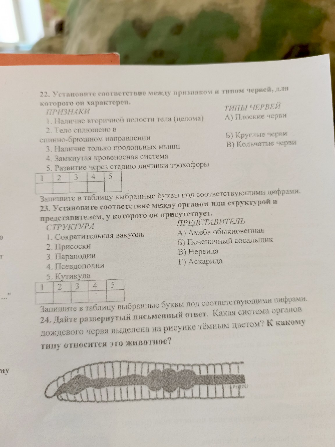 Изображение задачи: