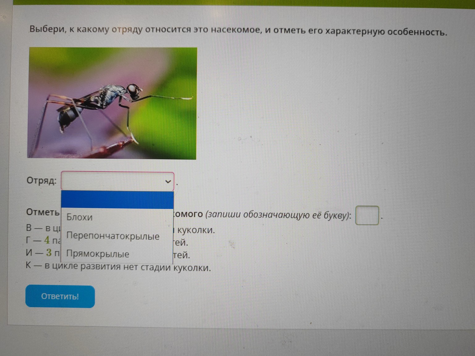 Изображение задачи: 