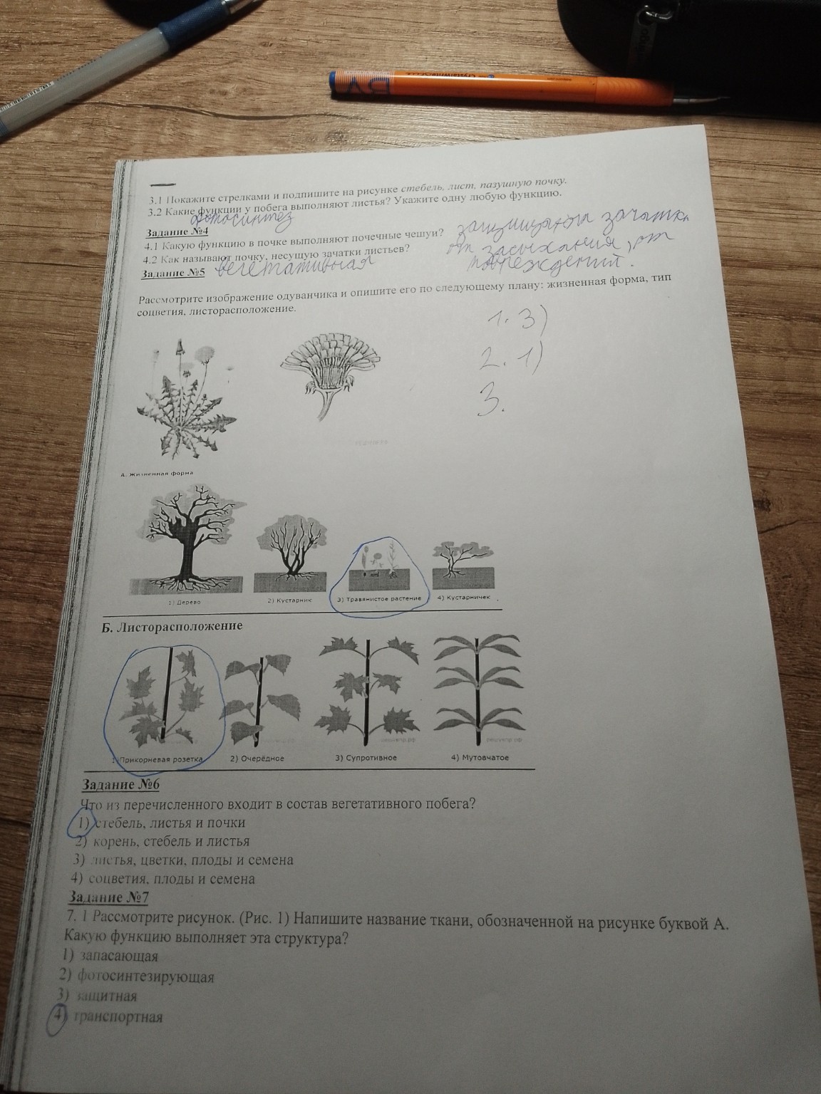 Изображение задачи: 