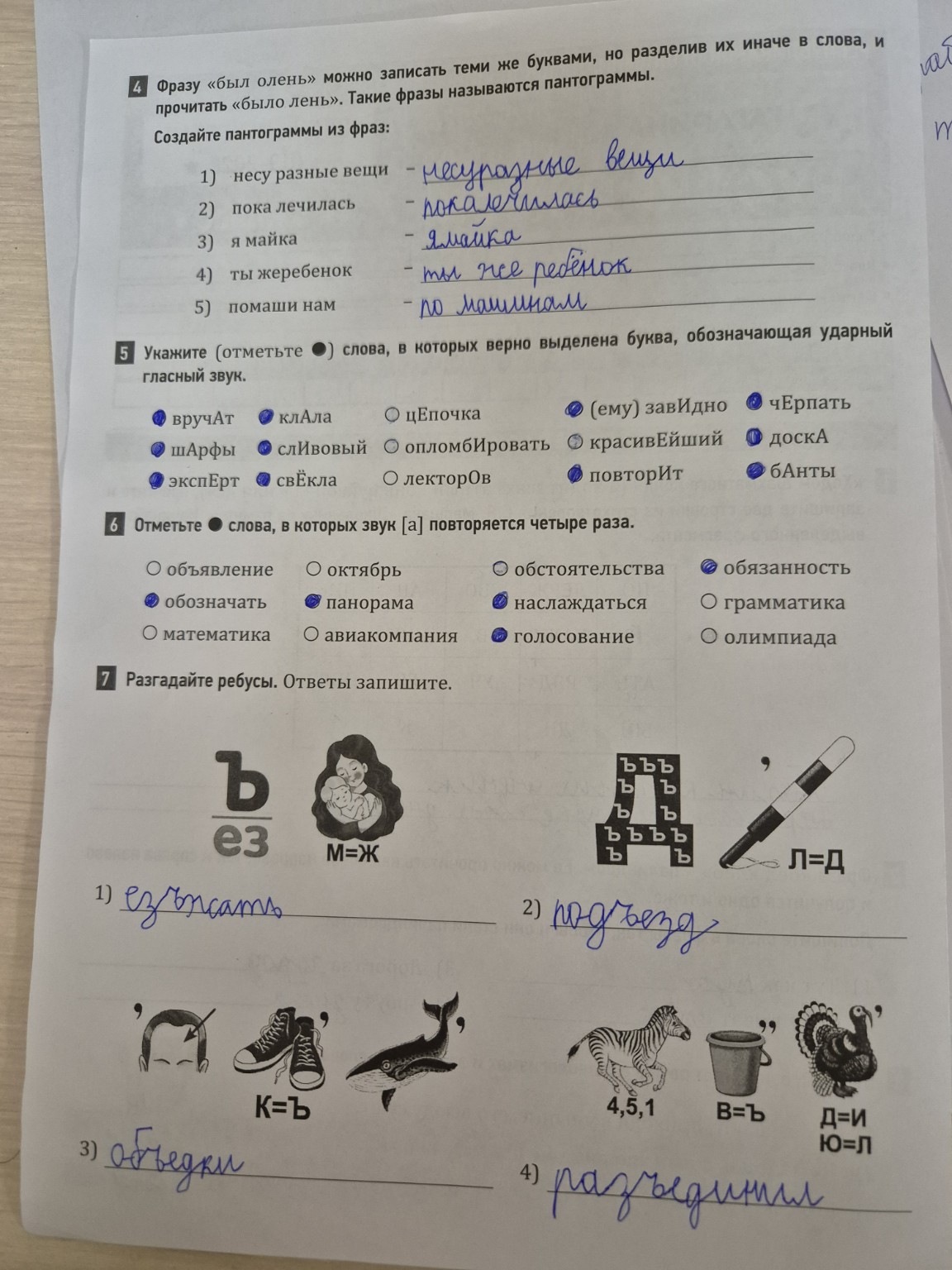 Изображение задачи: Проверьте на ошибки