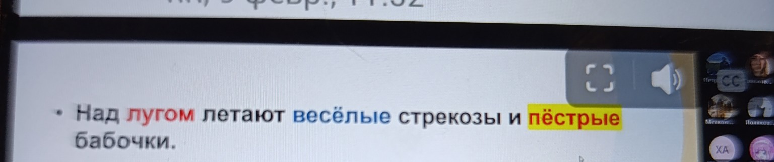 Изображение задачи: Морфологический разбор слова пестрые