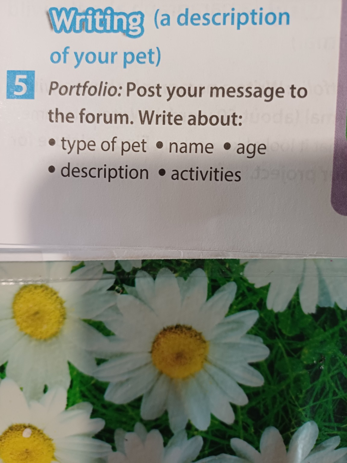 Изображение задачи: Реши задачу: Английский 5 класс