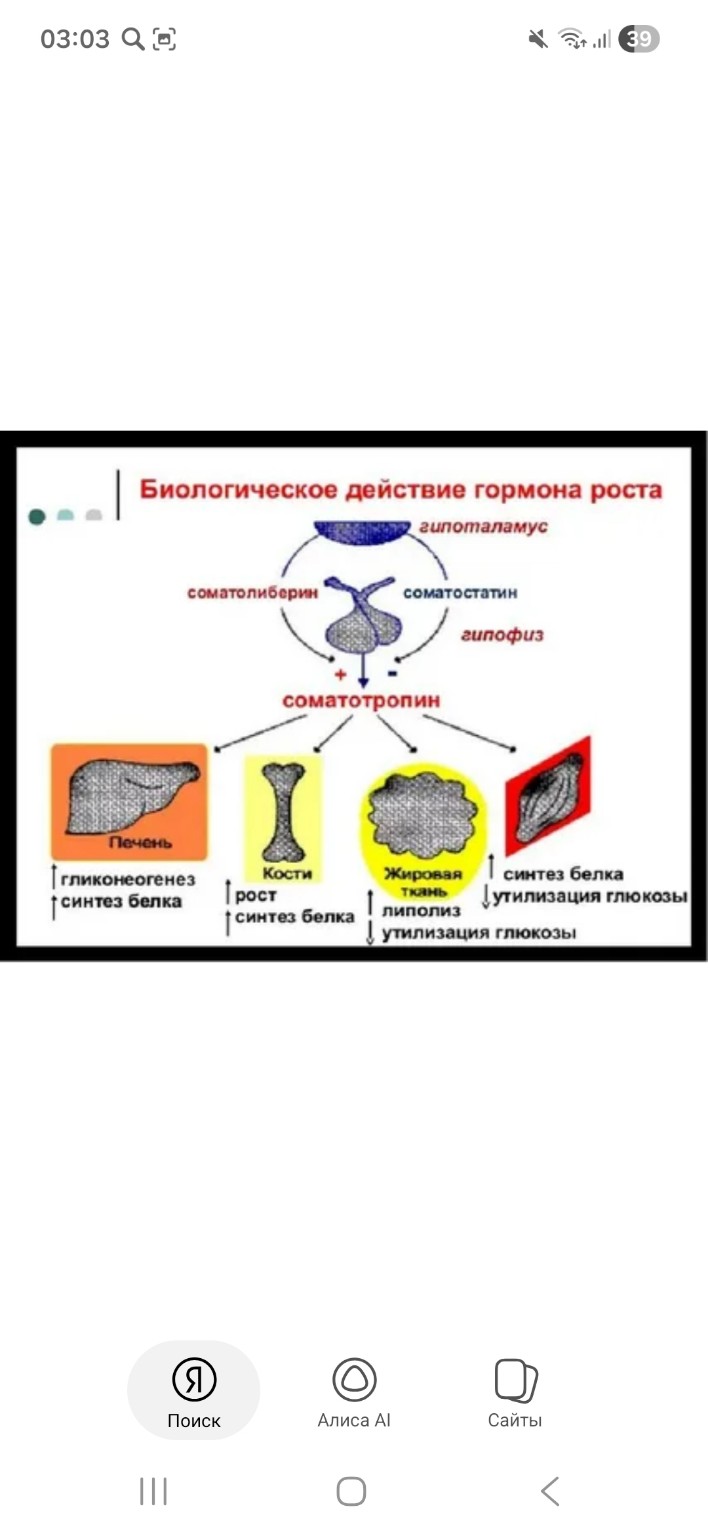 Изображение задачи: Реши задачу: Подробные объясните