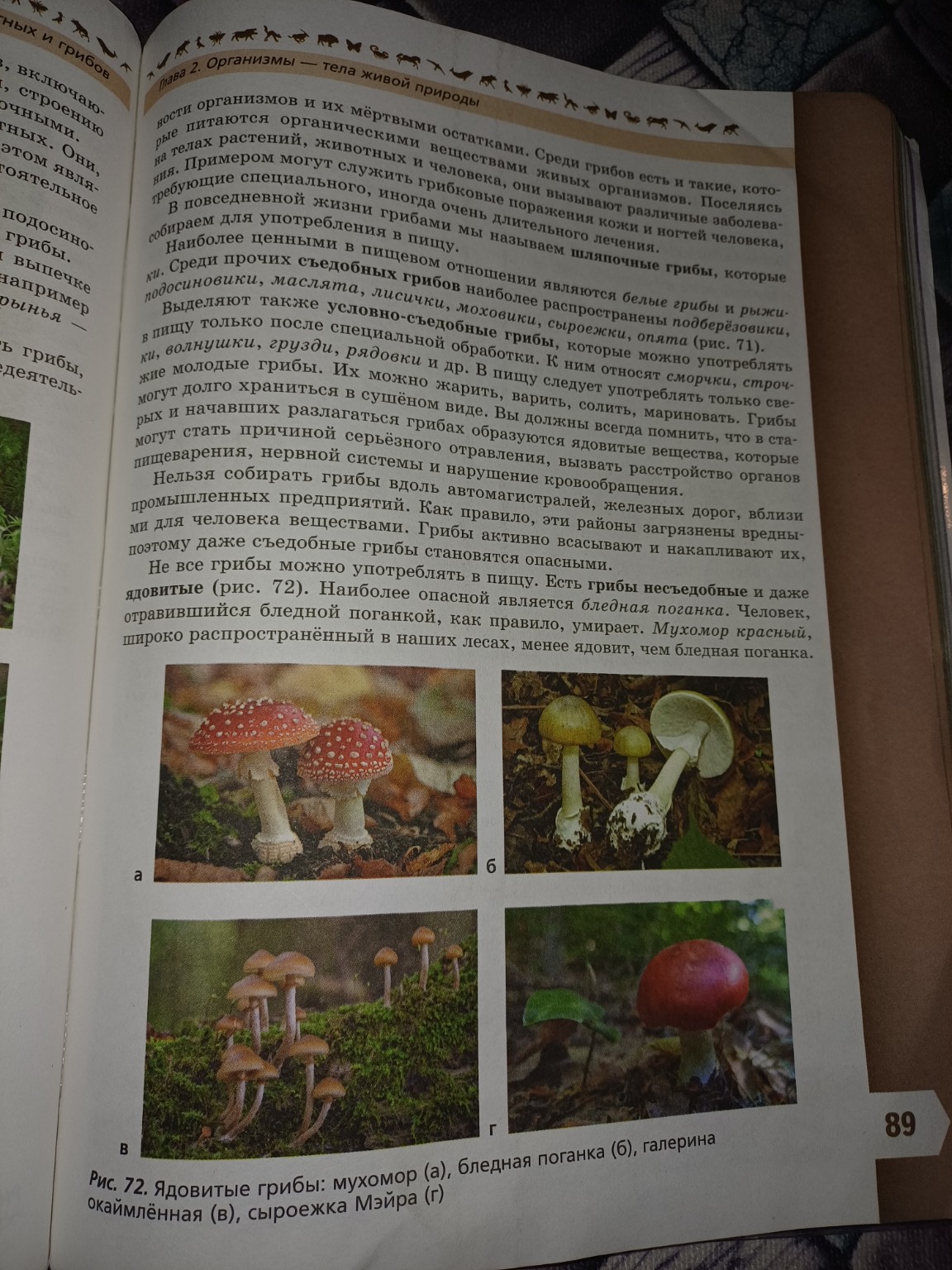 Изображение задачи: Биология ипотеклоз парагов 13. Многообразие значен