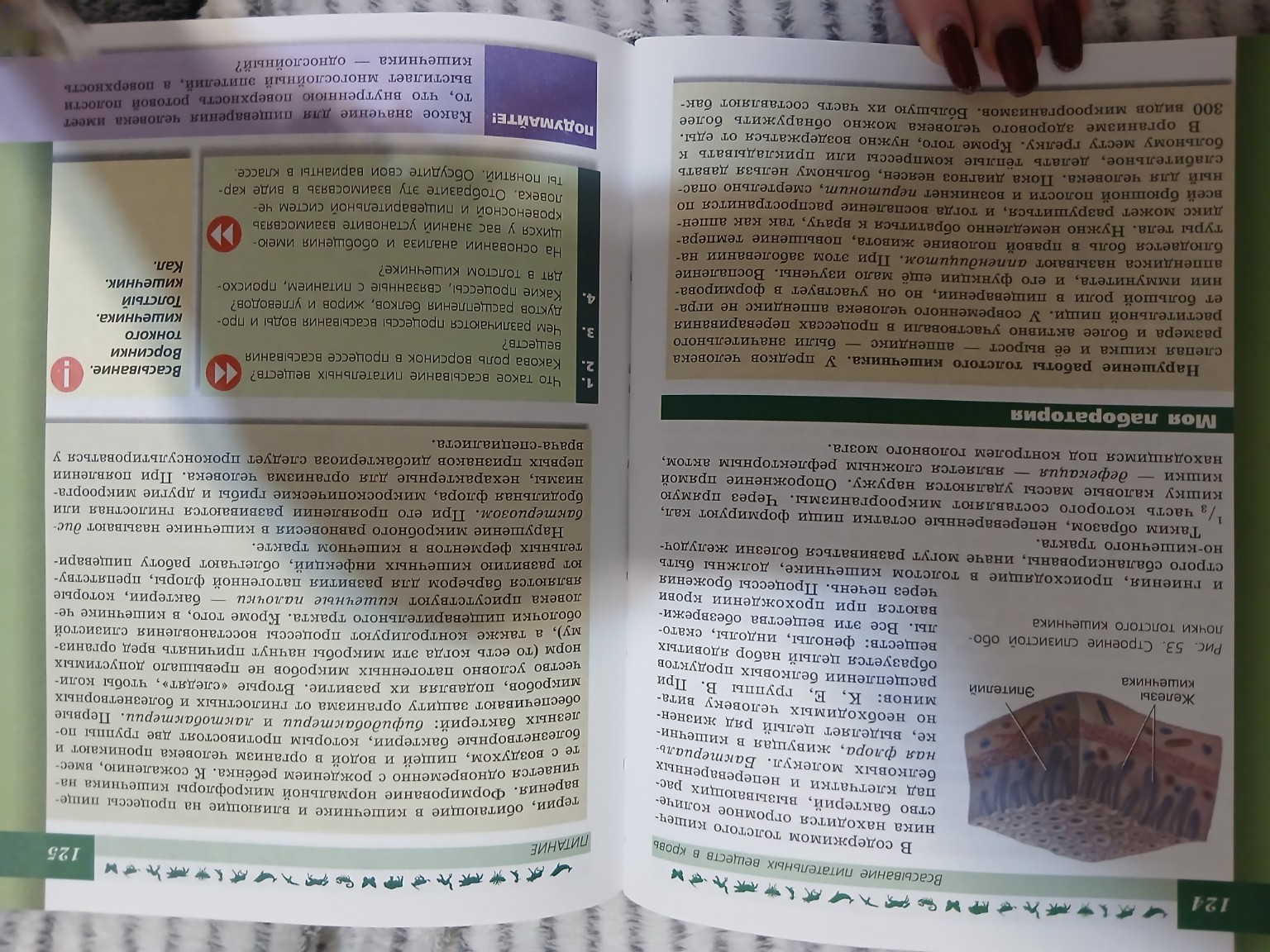 Изображение задачи: напиши конспект по тексту