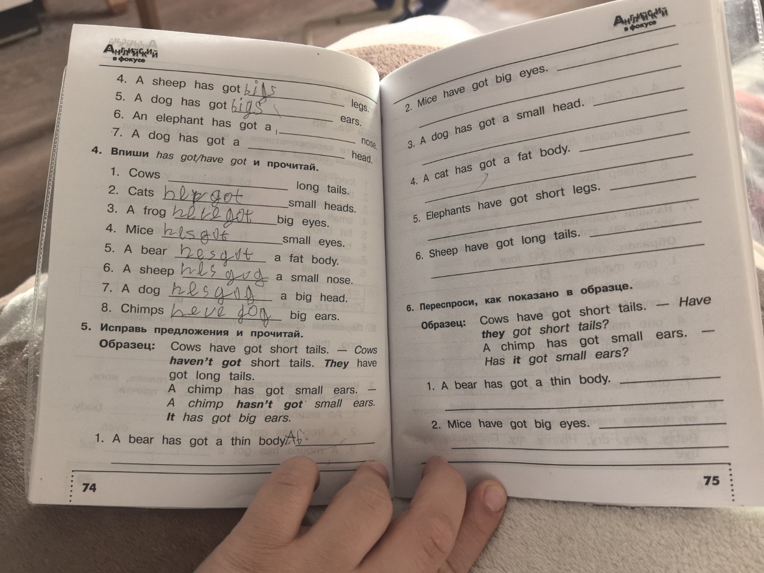 Изображение задачи: Решить 5 задание с объяснением учитывая образец за