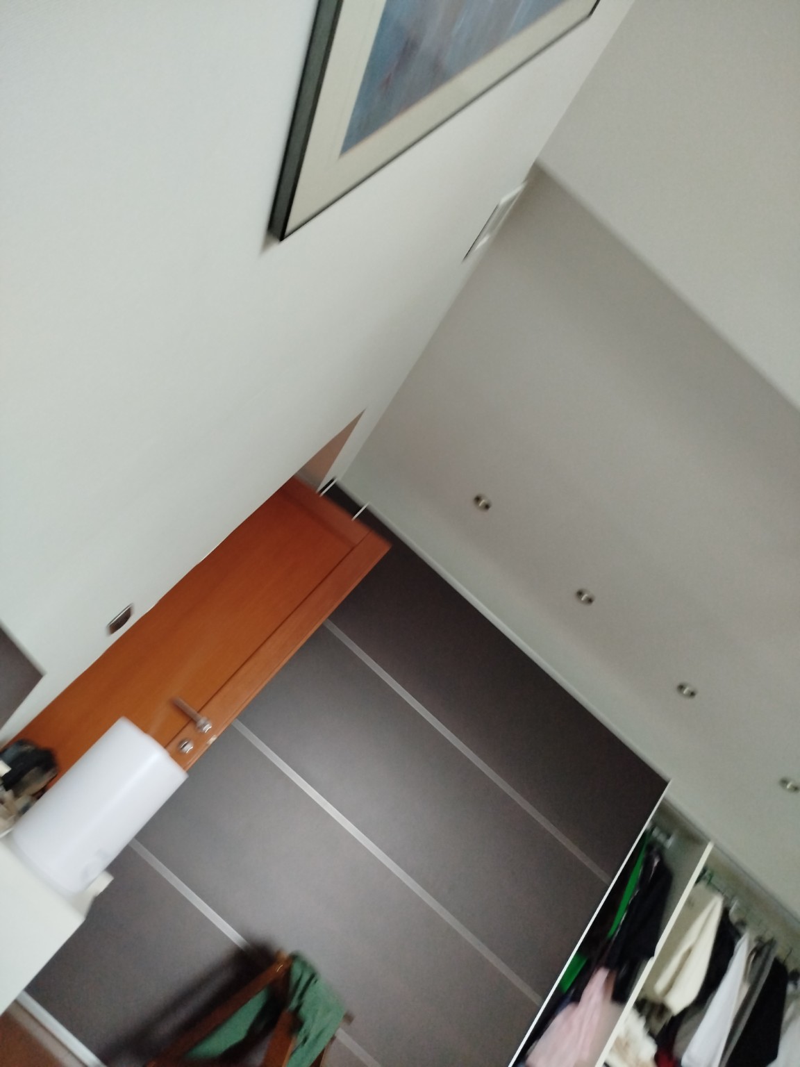 Изображение задачи: Что на фото?