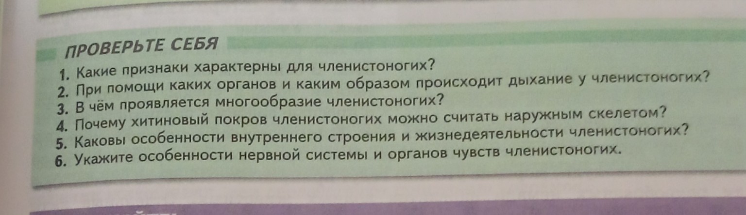 Изображение задачи: Реши задачу: Ответить на вопросы