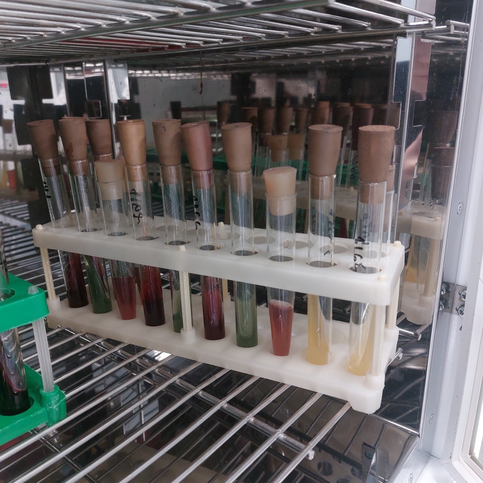 Изображение задачи: Реши задачу: Это определение сахаралитический свой