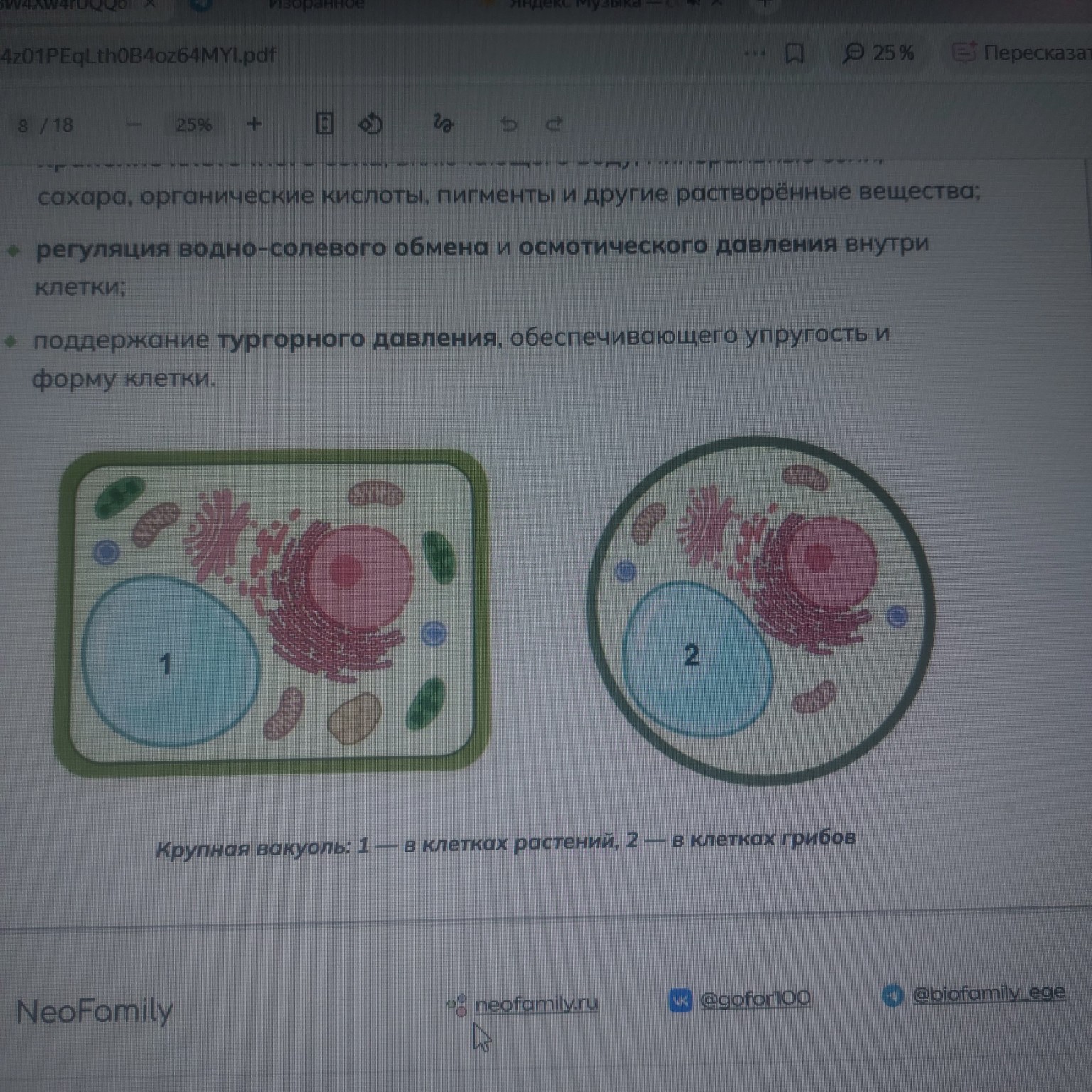 Изображение задачи: Что это за синие маленькие кружки в клетках? Рчдом