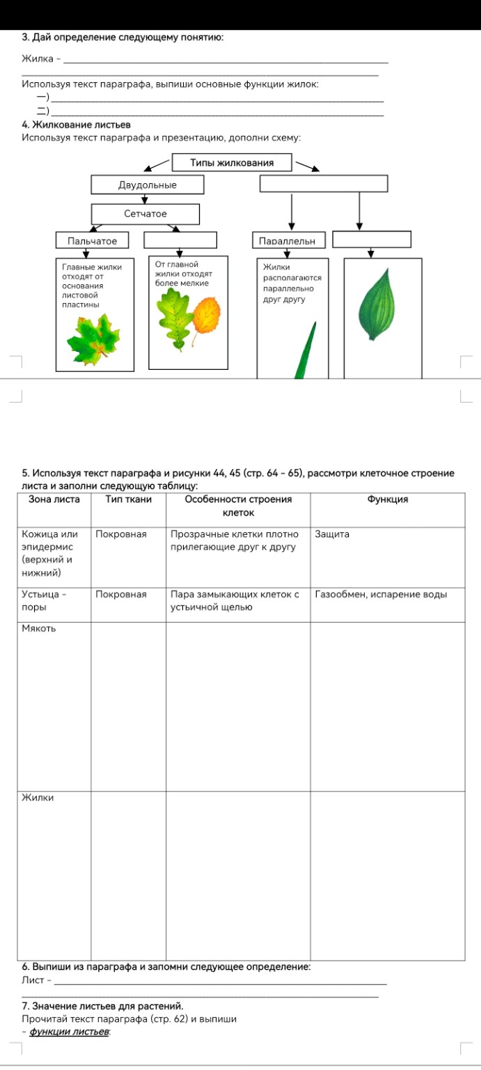 Изображение задачи: Реши задачу: биология 6 класс