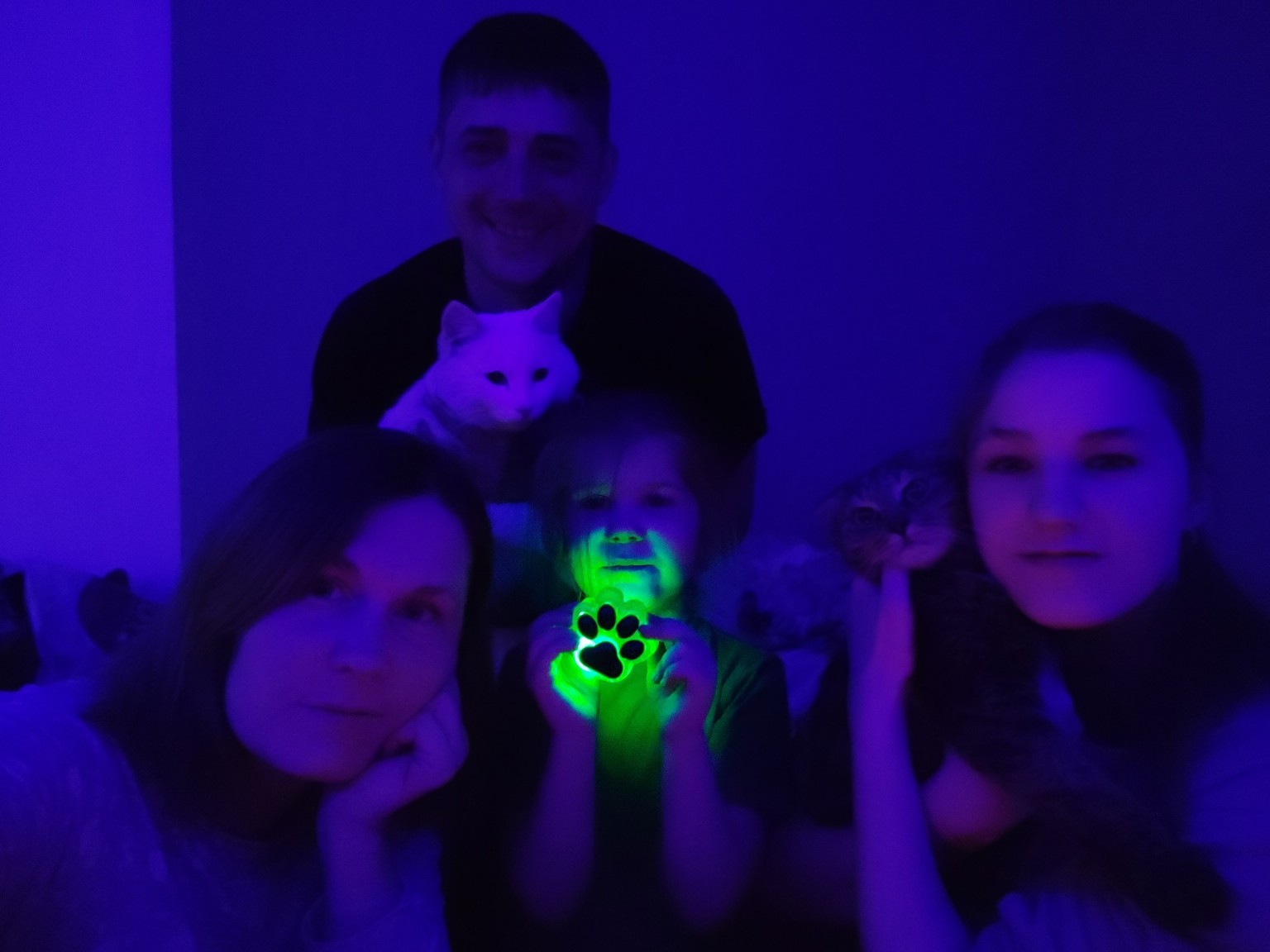 Изображение задачи: Реалистично сгенерируй ёлку на заднем фоне