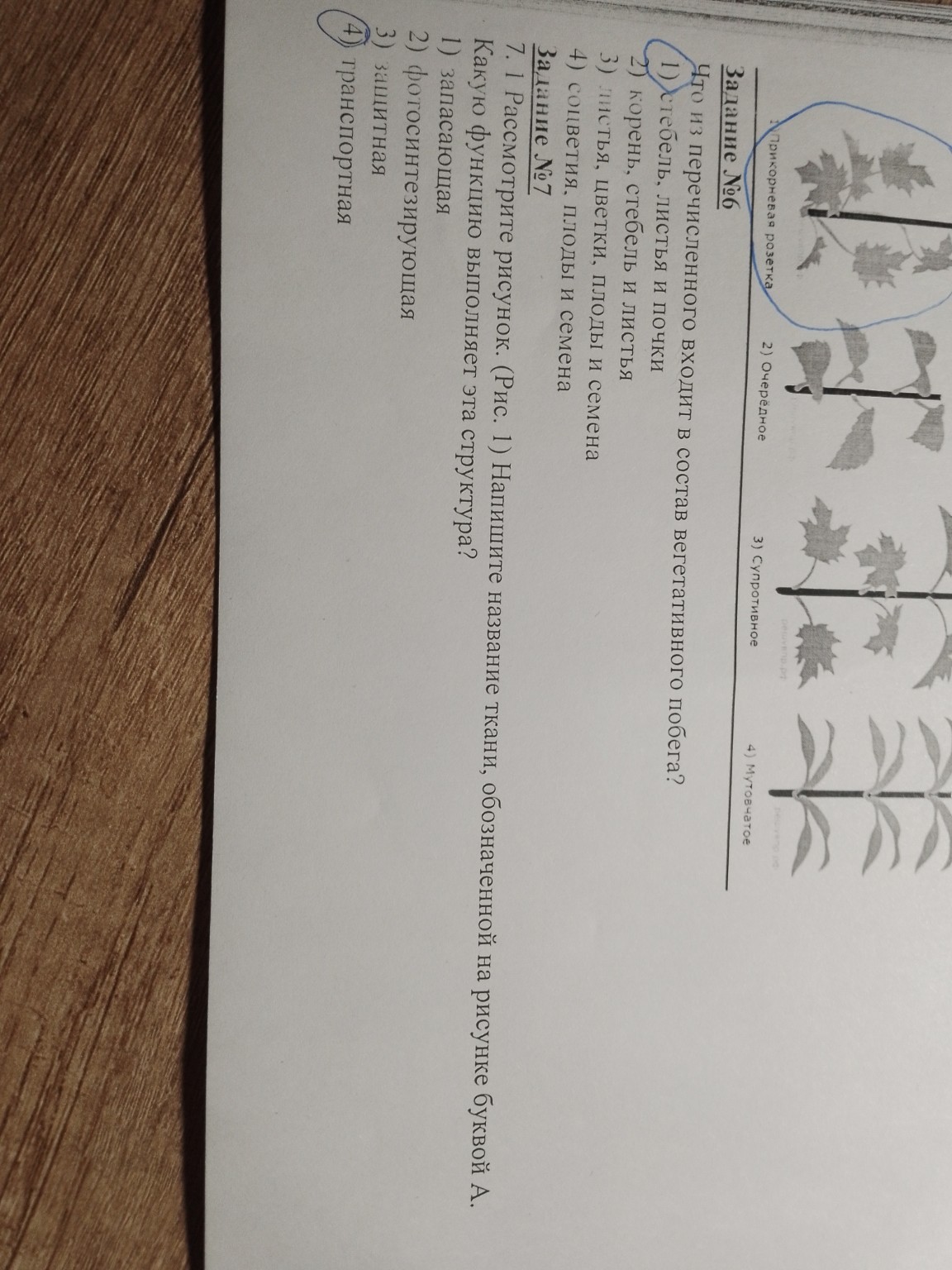 Изображение задачи: