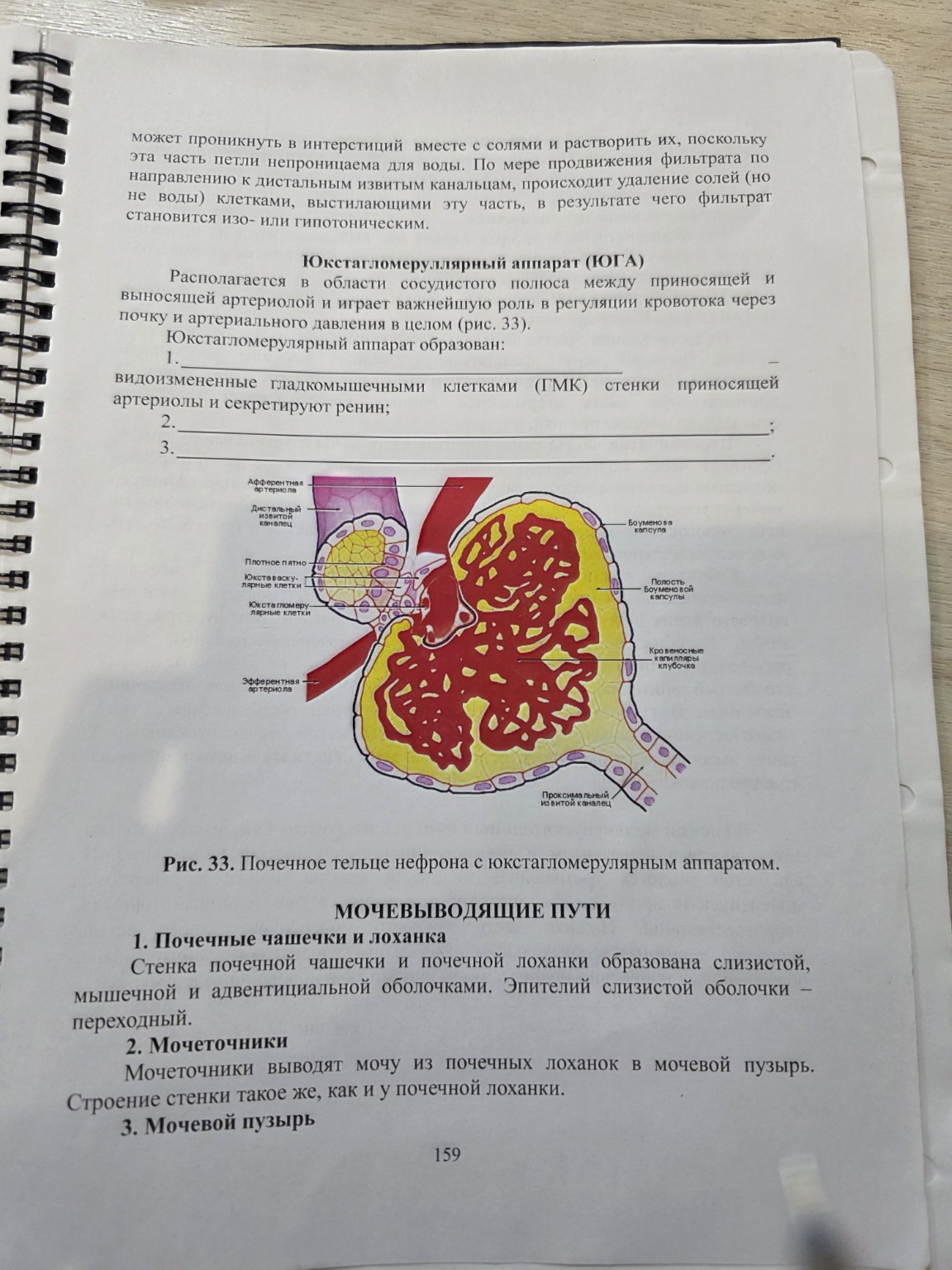 Изображение задачи: Реши задачу: Заполни пропуски Реши задачу: Неужели