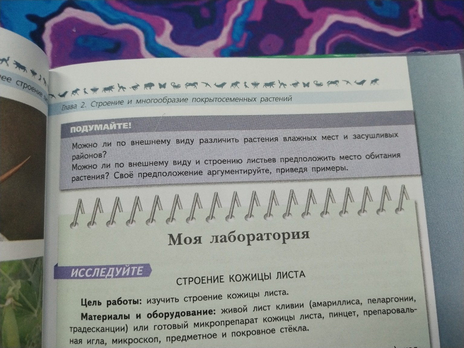 Изображение задачи: Реши задачу: Параграф 12 по биологии 6 класс В. В.