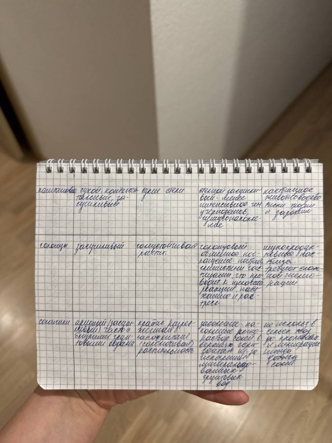 Изображение задачи: Реши задачу: Мне нужно записать эту таблицу в тетр