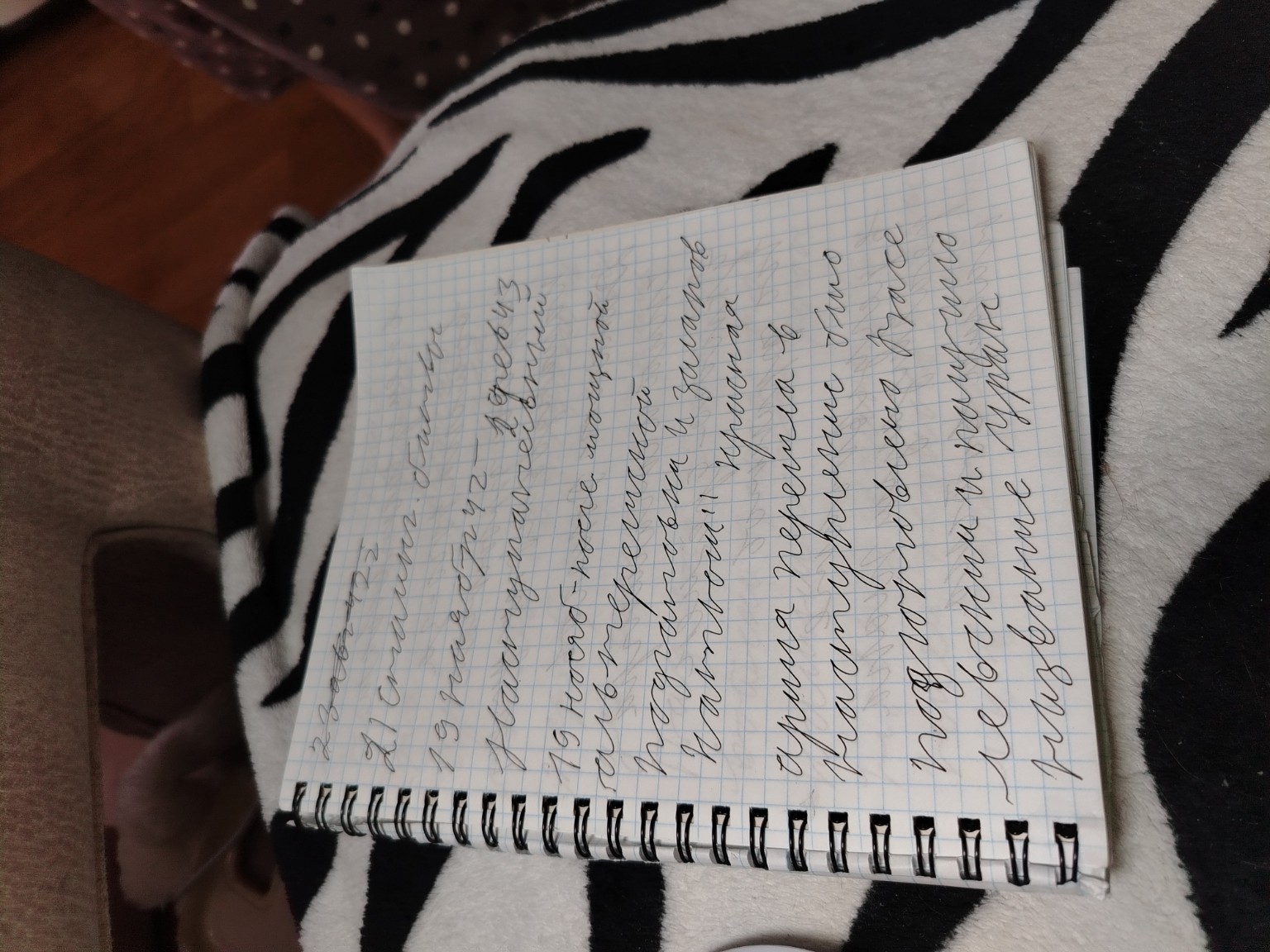 Изображение задачи: Реши задачу: Напиши текст