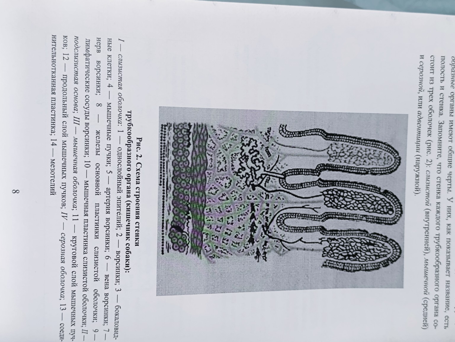 Изображение задачи: Определи подписи к рисунку
