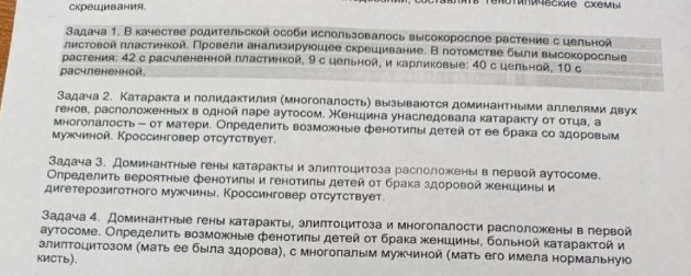 Изображение задачи: 