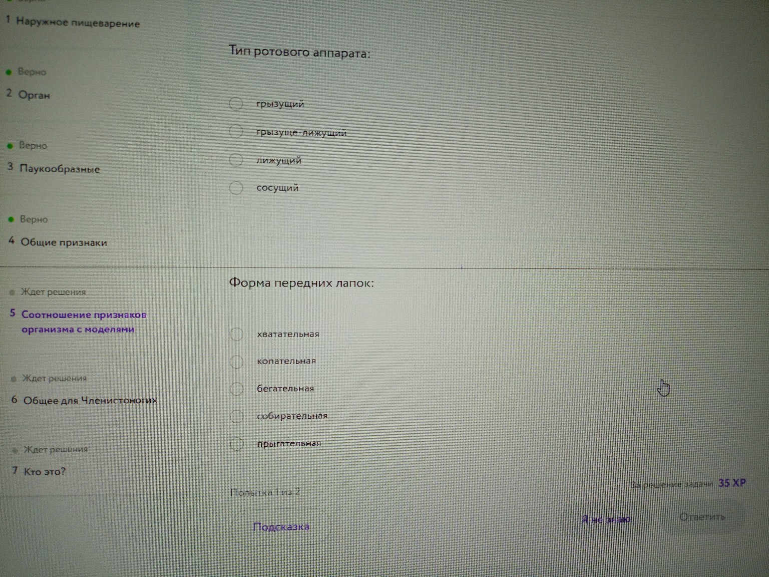 Изображение задачи: где крылья неверно