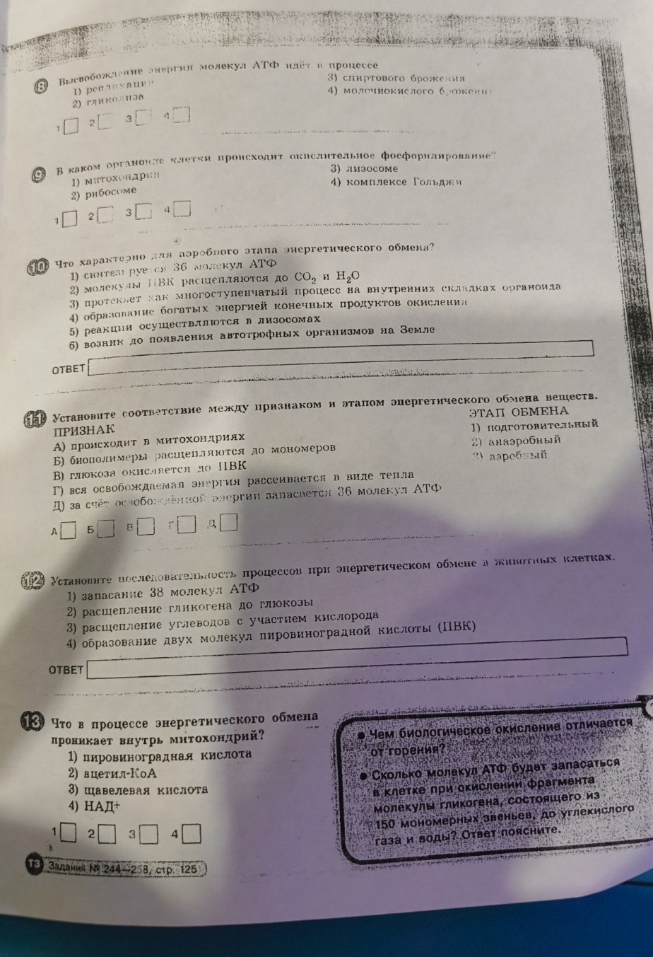 Изображение задачи: Решить тест по биологии 10 класс