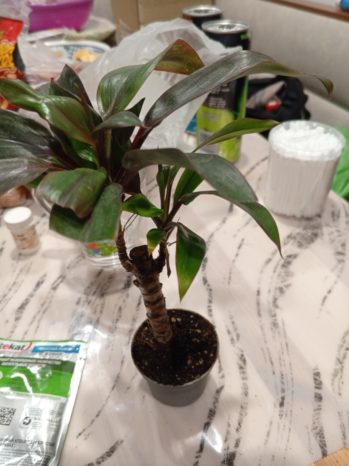 Изображение задачи: то это за цветок Реши задачу: Какую почву нужно дл