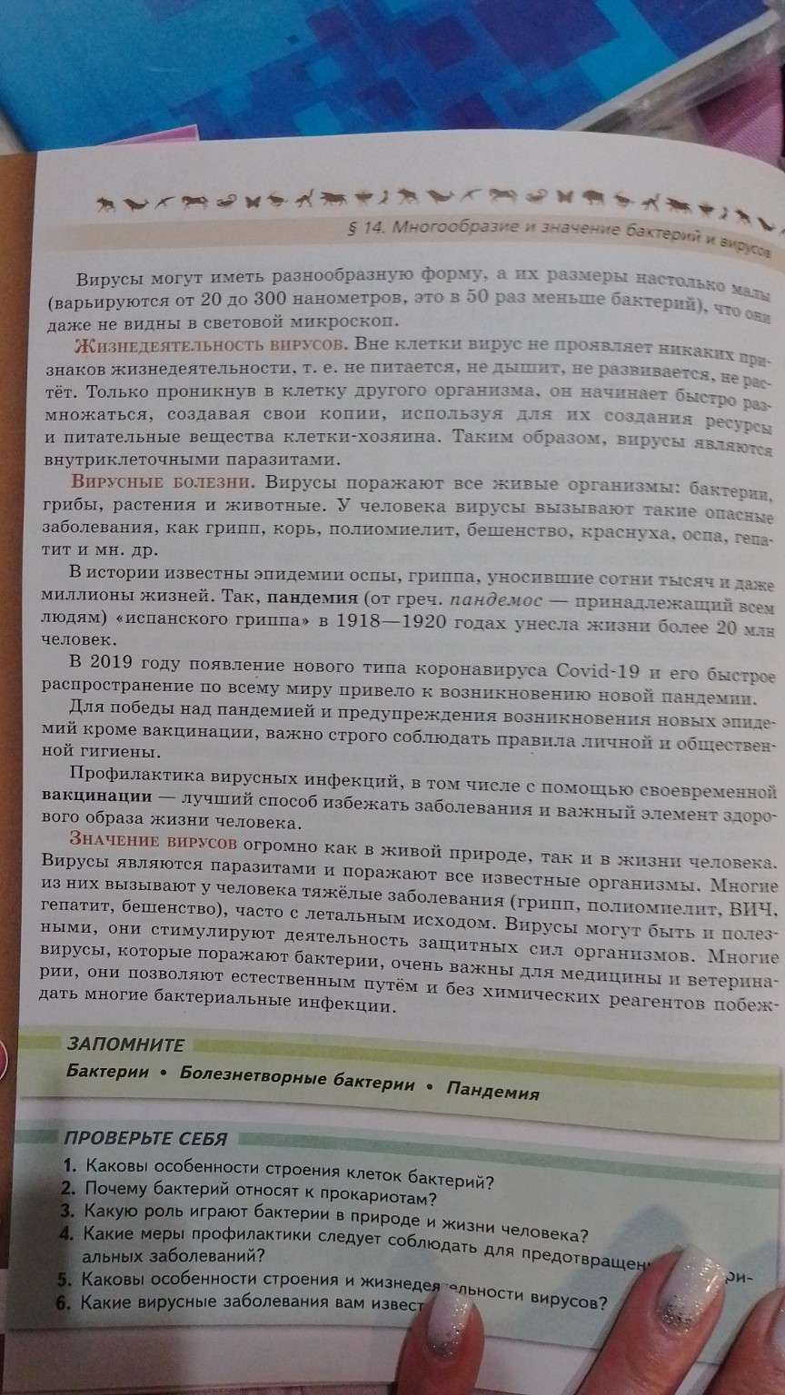 Изображение задачи: Что я узнала нового? Что было важного? Что интерес