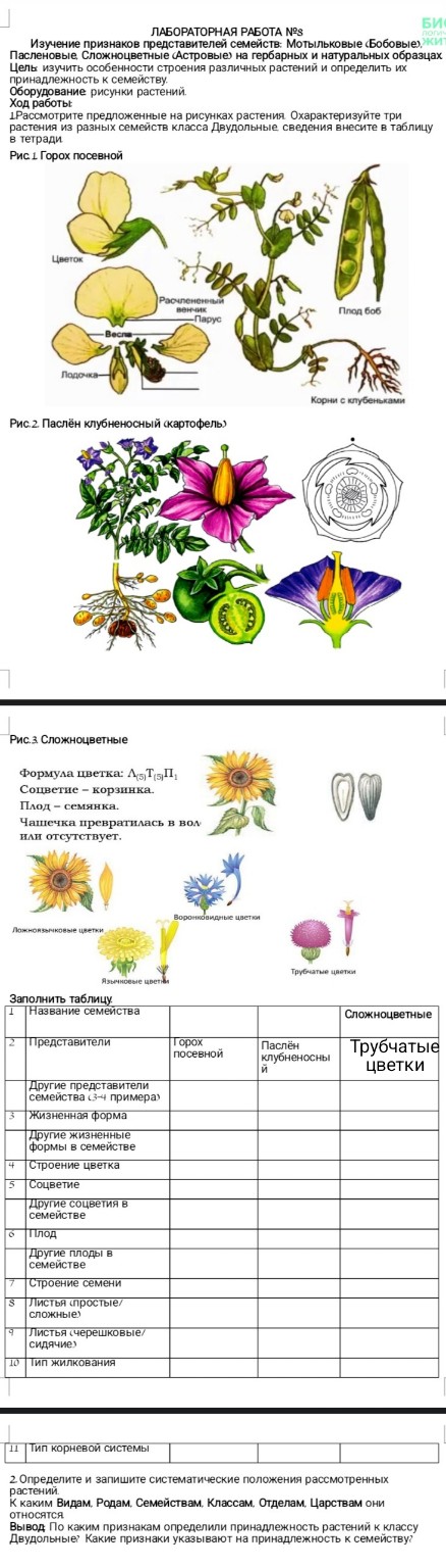 Изображение задачи: Реши пожалуйста