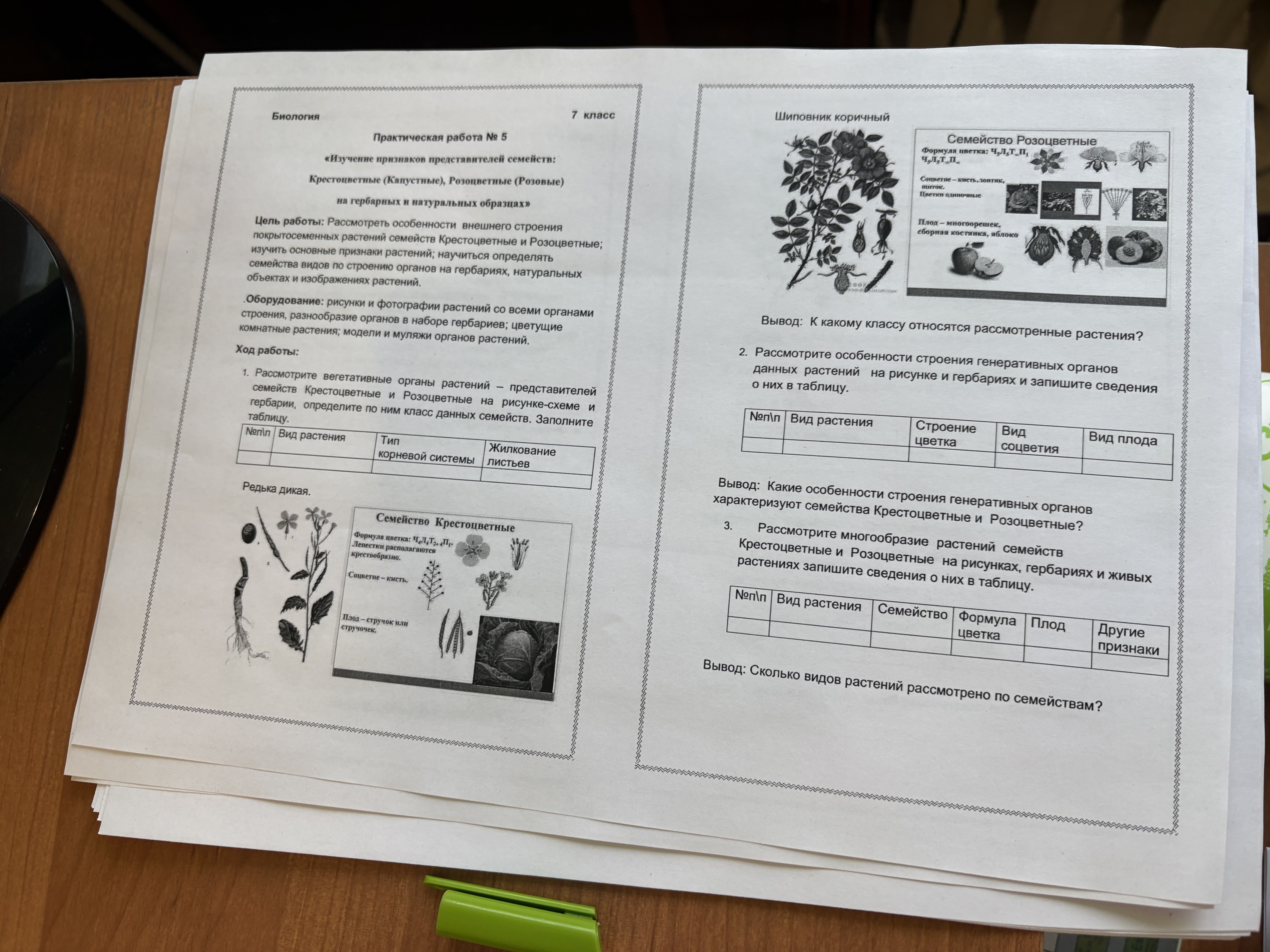 Изображение задачи: Сделать практическую работу по заданиям прислать о