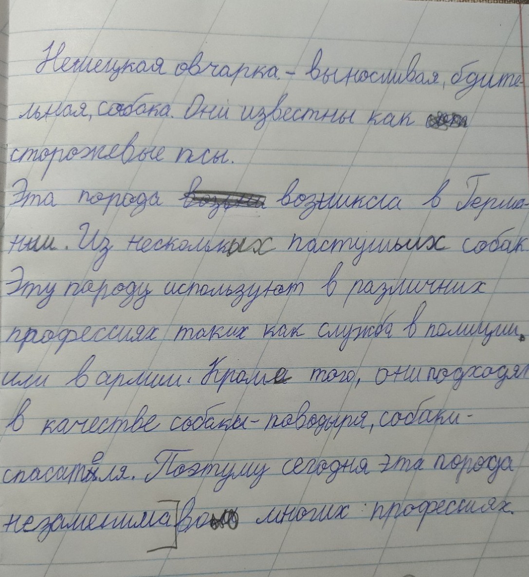 Изображение задачи: Реши задачу: Рассказ про немецкую овчарку