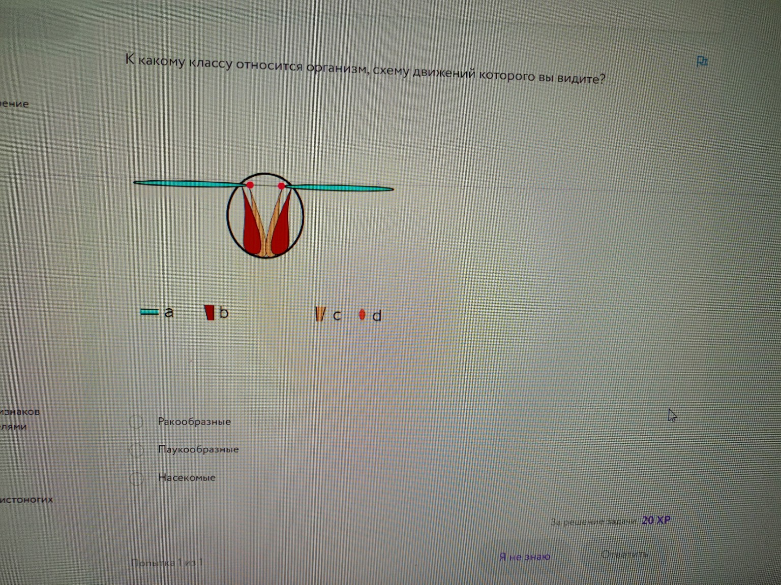 Изображение задачи: где крылья неверно