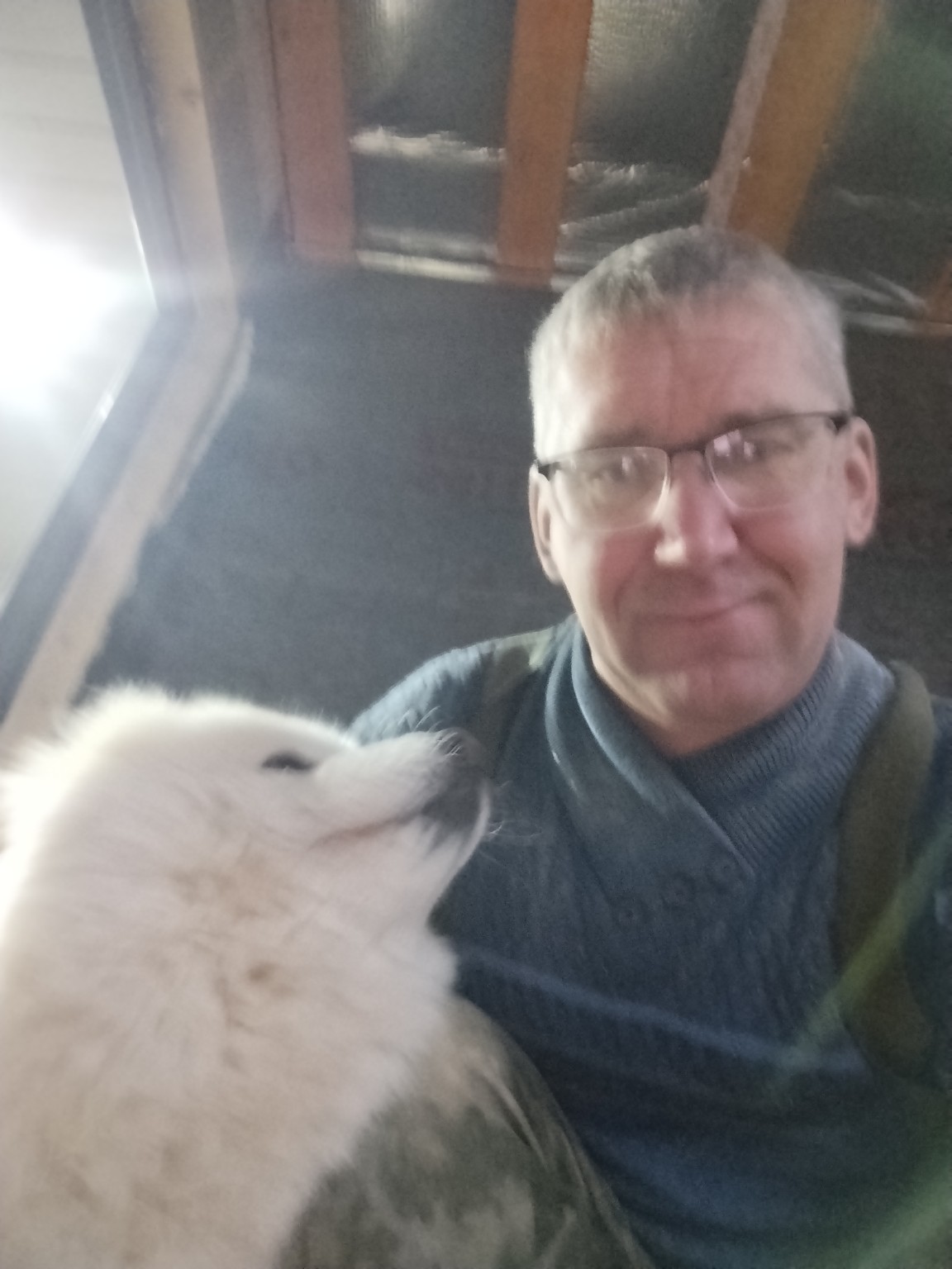 Изображение задачи: Реши задачу: Является ли человек хозяином собаки