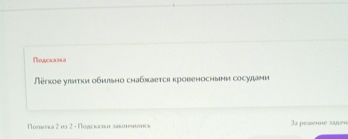 Изображение задачи: Реши задачу: Ответ неверный высветилась подсказка.